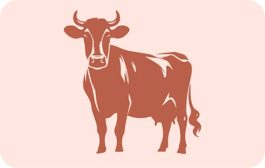 Beef or Veal