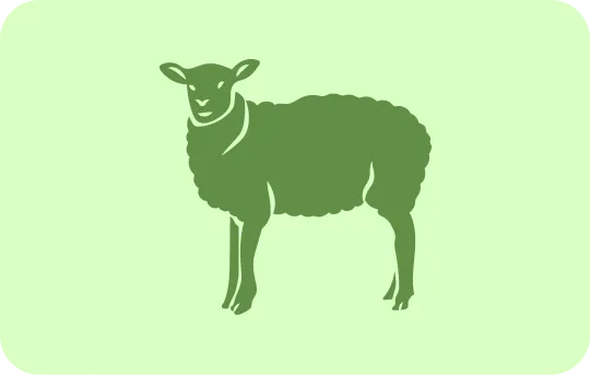 Lamb or Goat