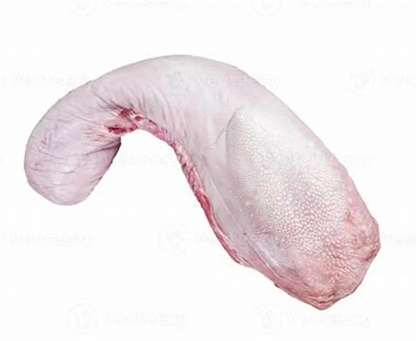 FRESH VEAL TONGUE